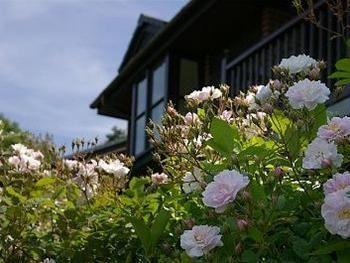 Barclay House Cottages Лу Екстериор снимка